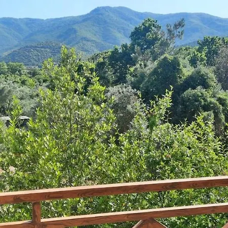 Rea's House Tatil Evi